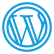 WordPress Theme Customization